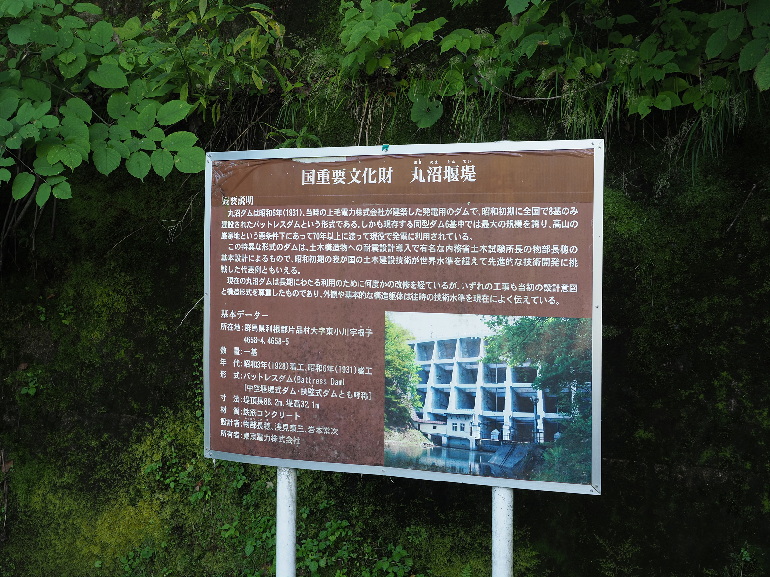 P9150166.jpg