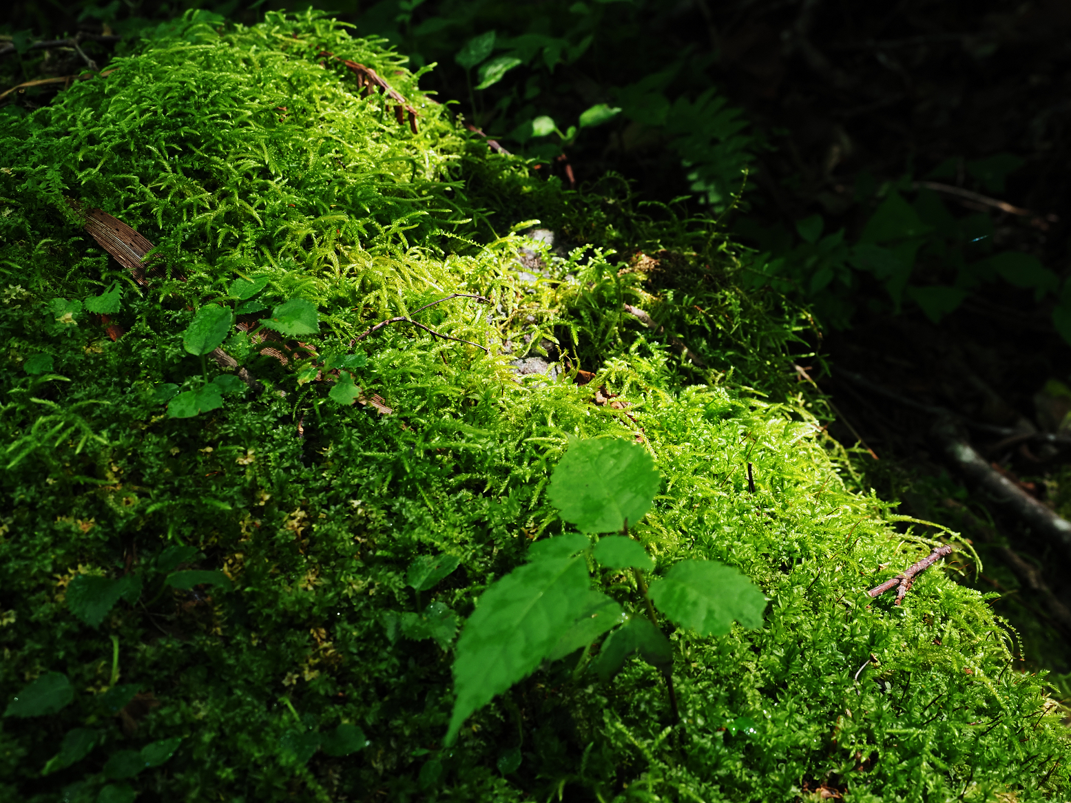 P9150171.jpg