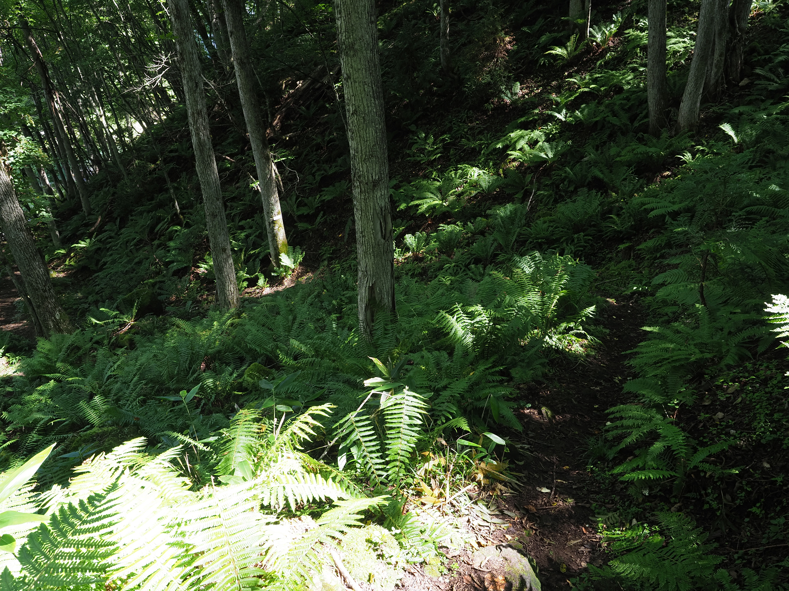 P9150177.jpg