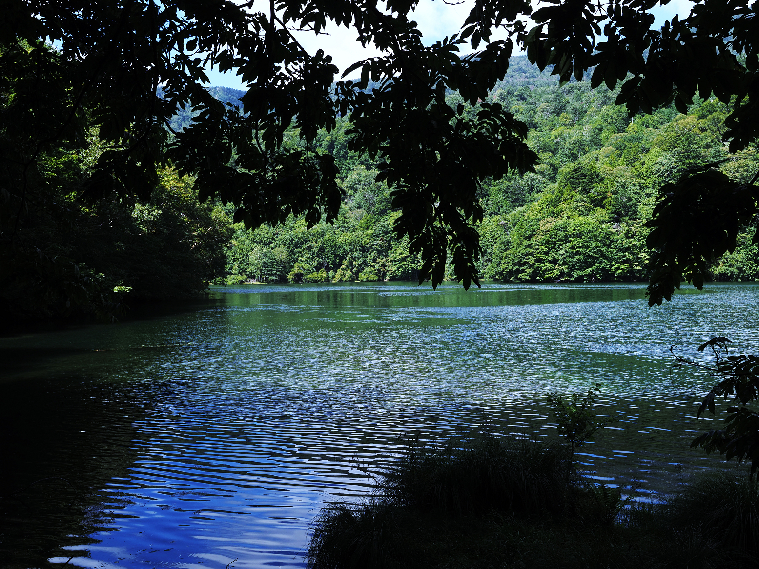 P9150181.jpg