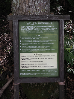P9150183_thumb.png