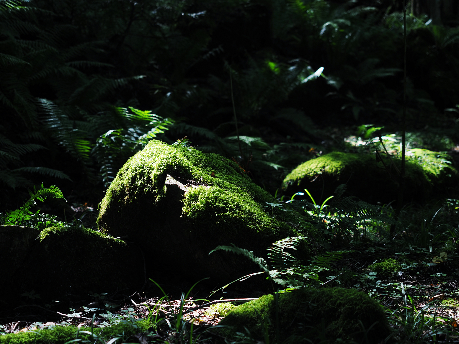 P9150204.jpg