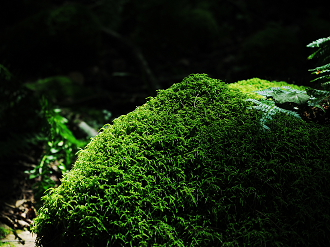 P9150206-00_thumb.png