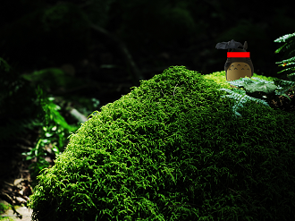 P9150206-01_thumb.png
