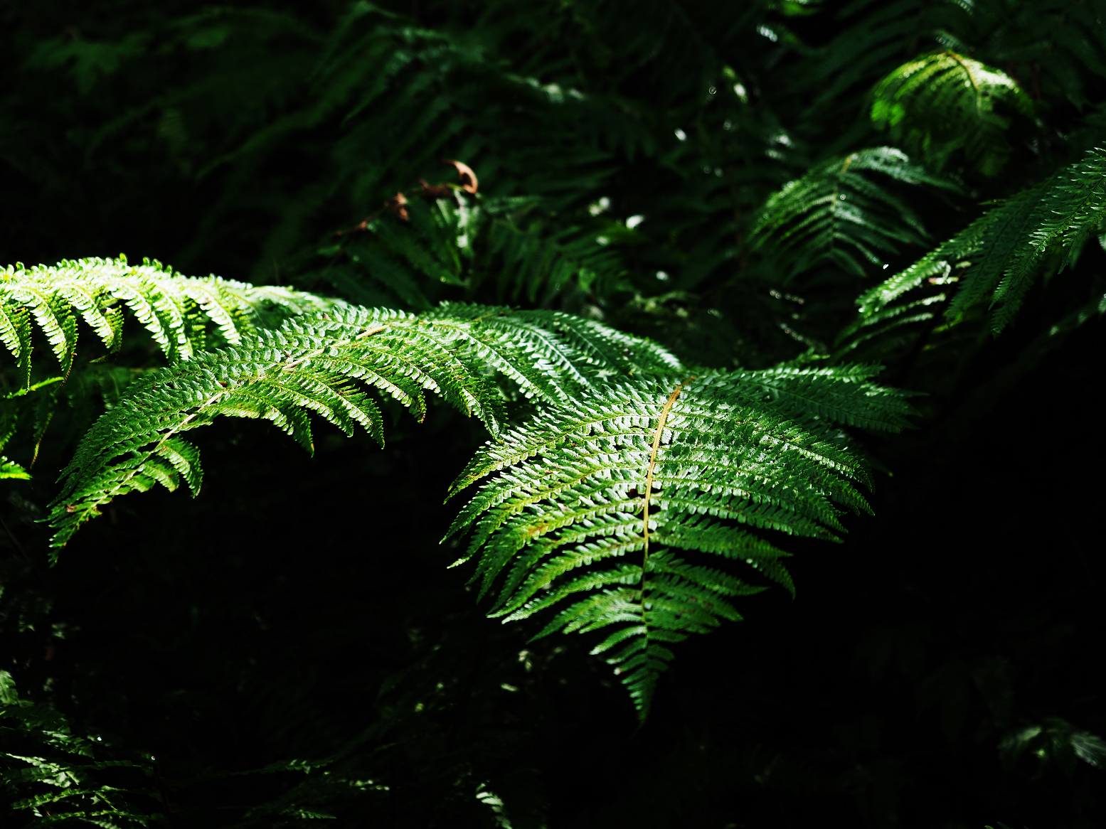 P9150211.jpg