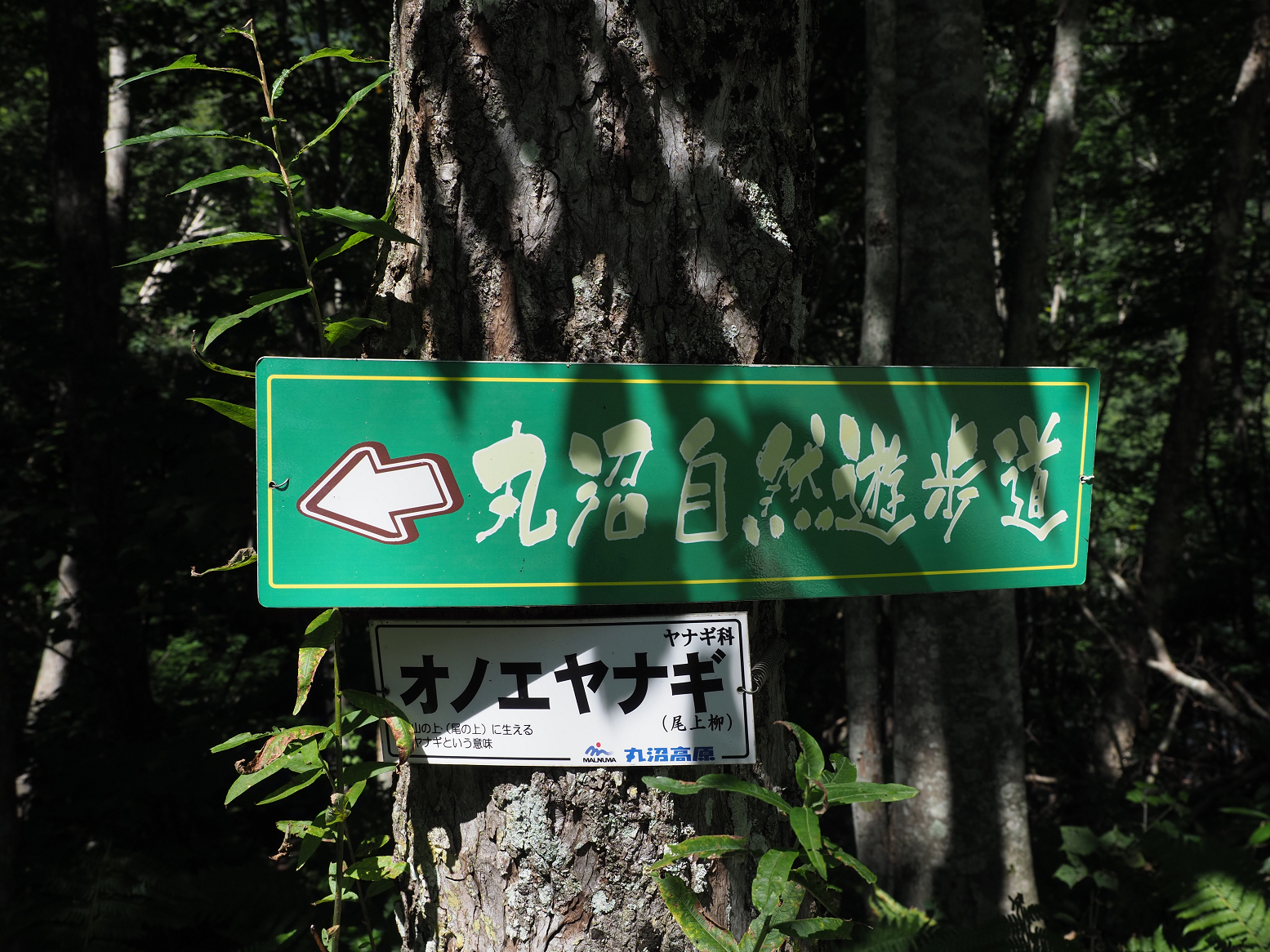 P9150214.jpg