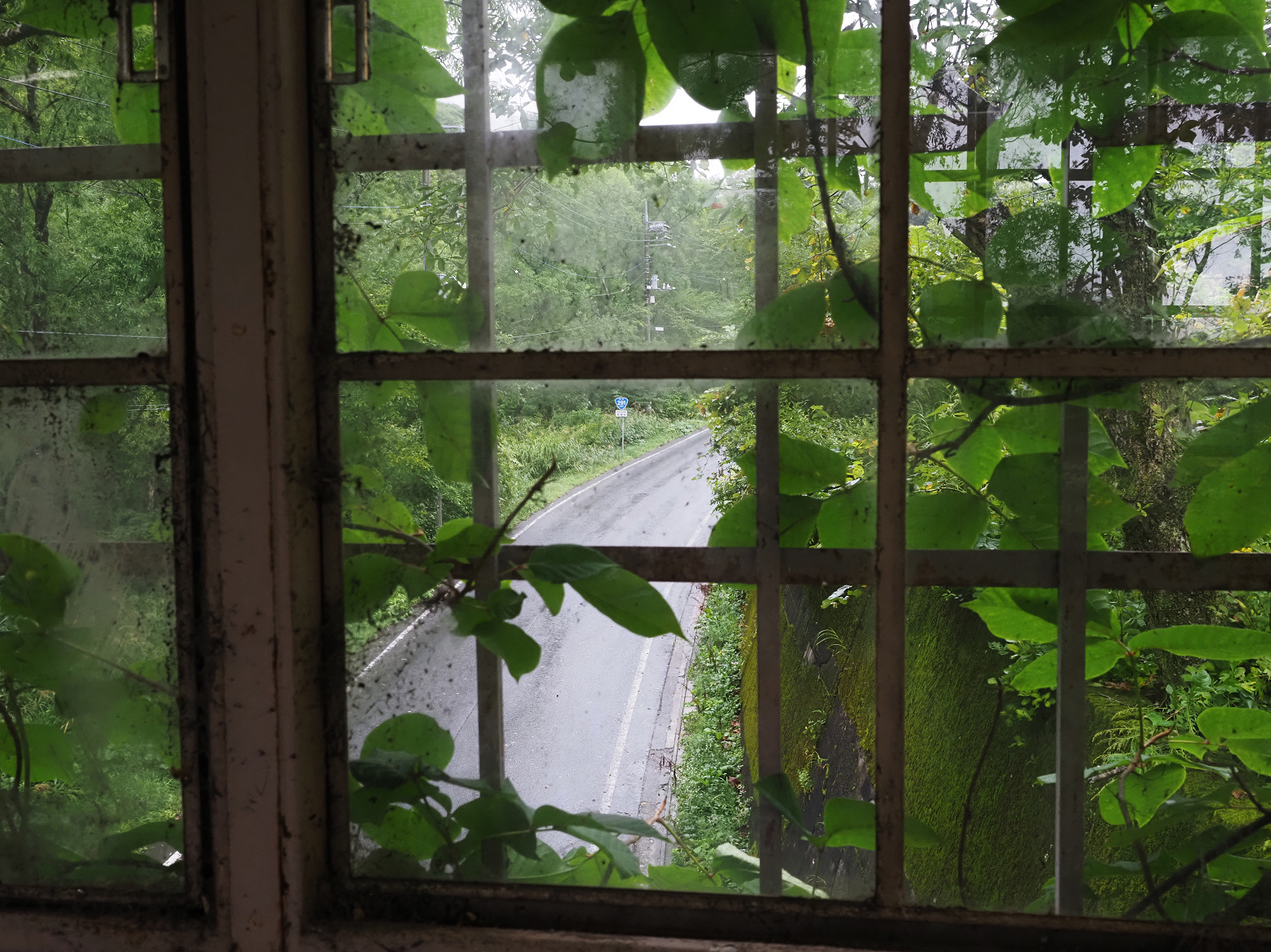 P9230041.jpg