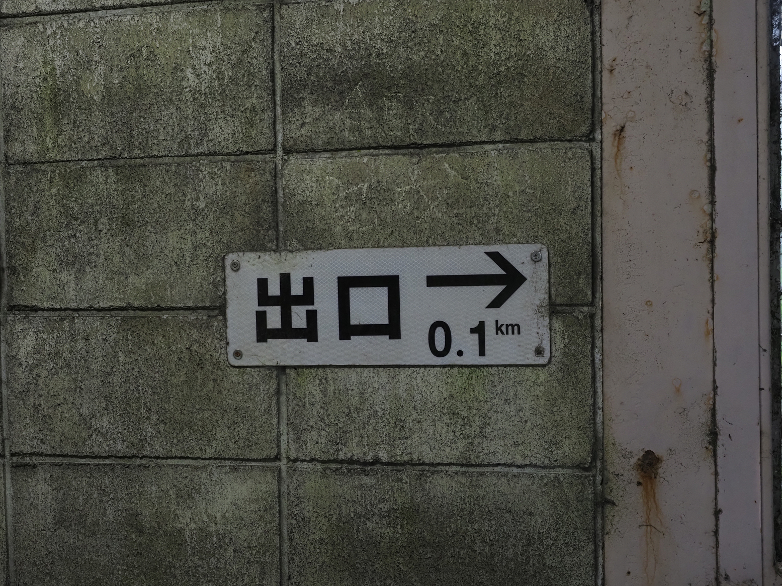 P9230210.jpg