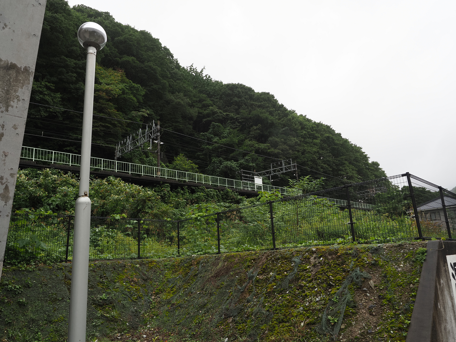P9230232.jpg