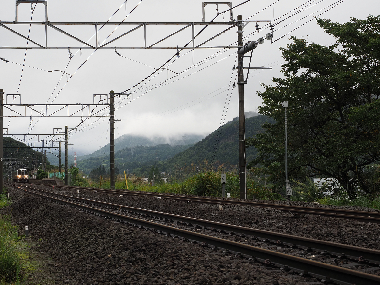 P9230264.jpg
