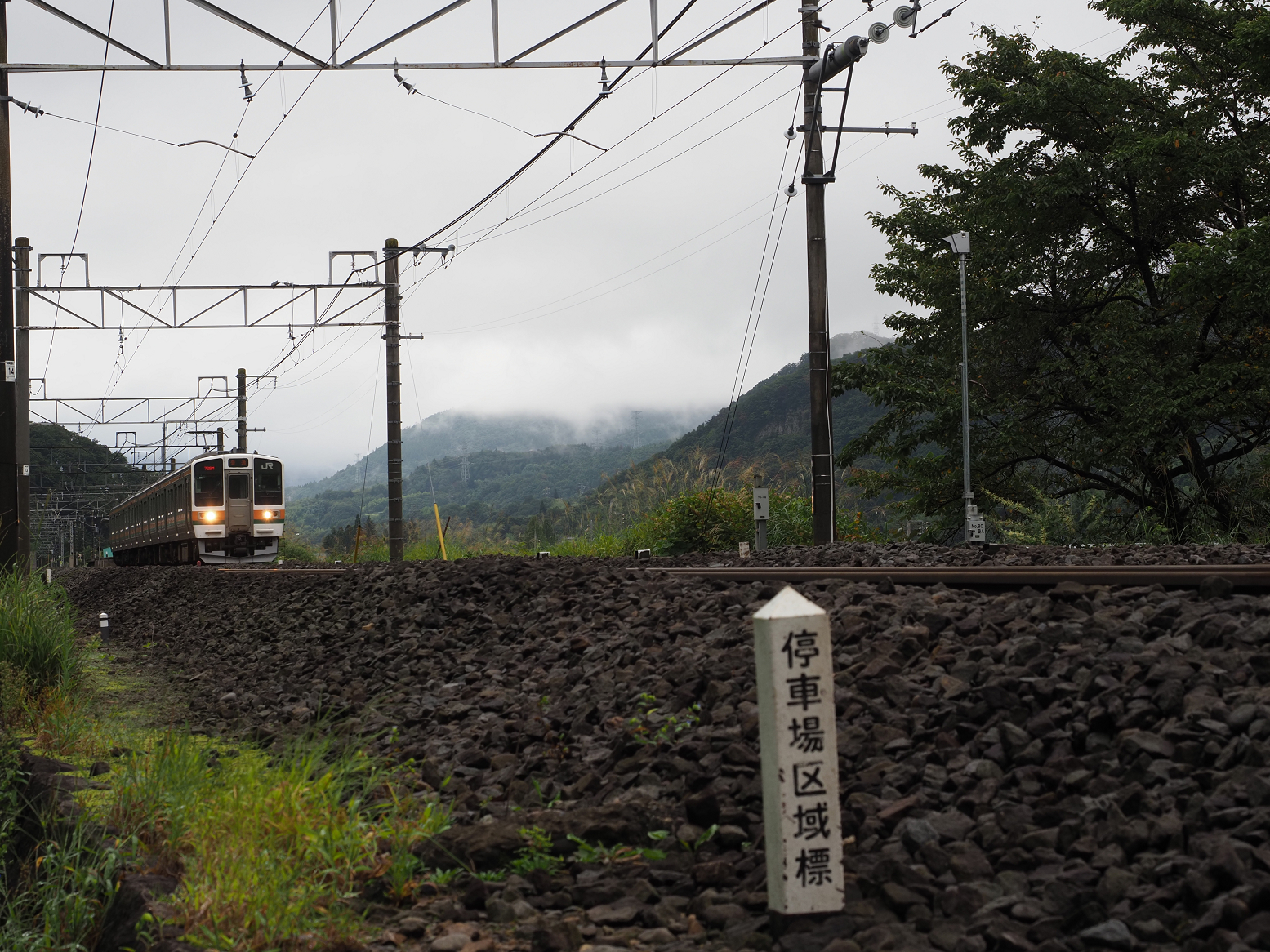 P9230265.jpg