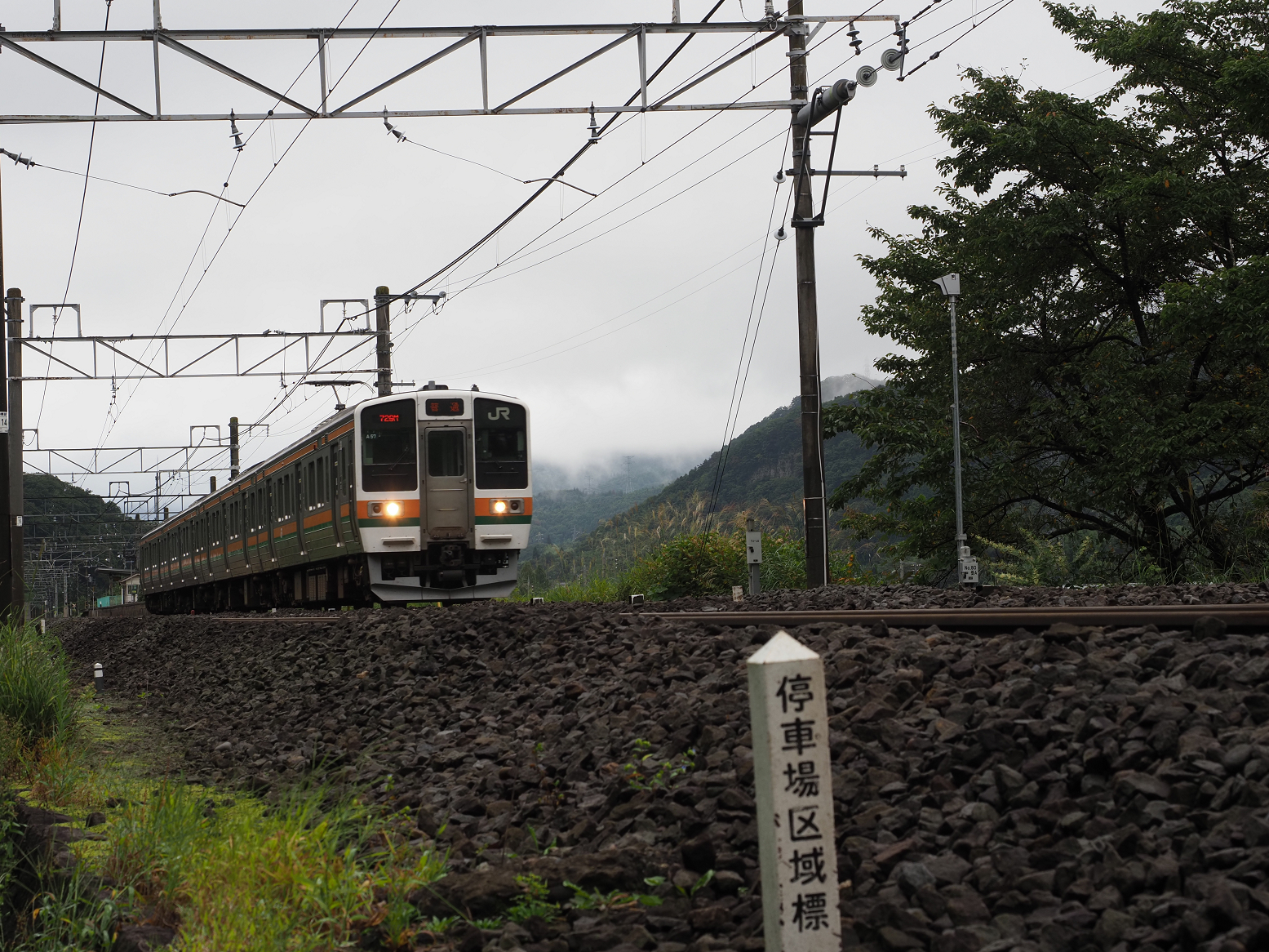 P9230268.jpg