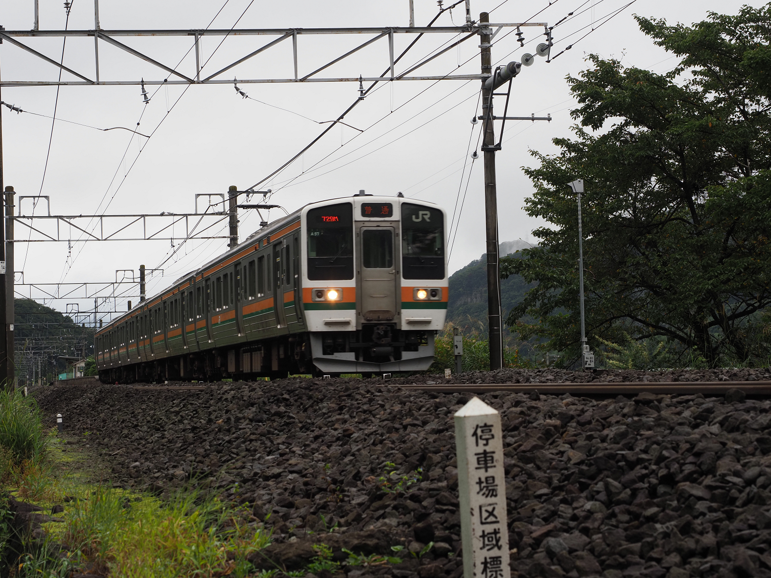 P9230272.jpg