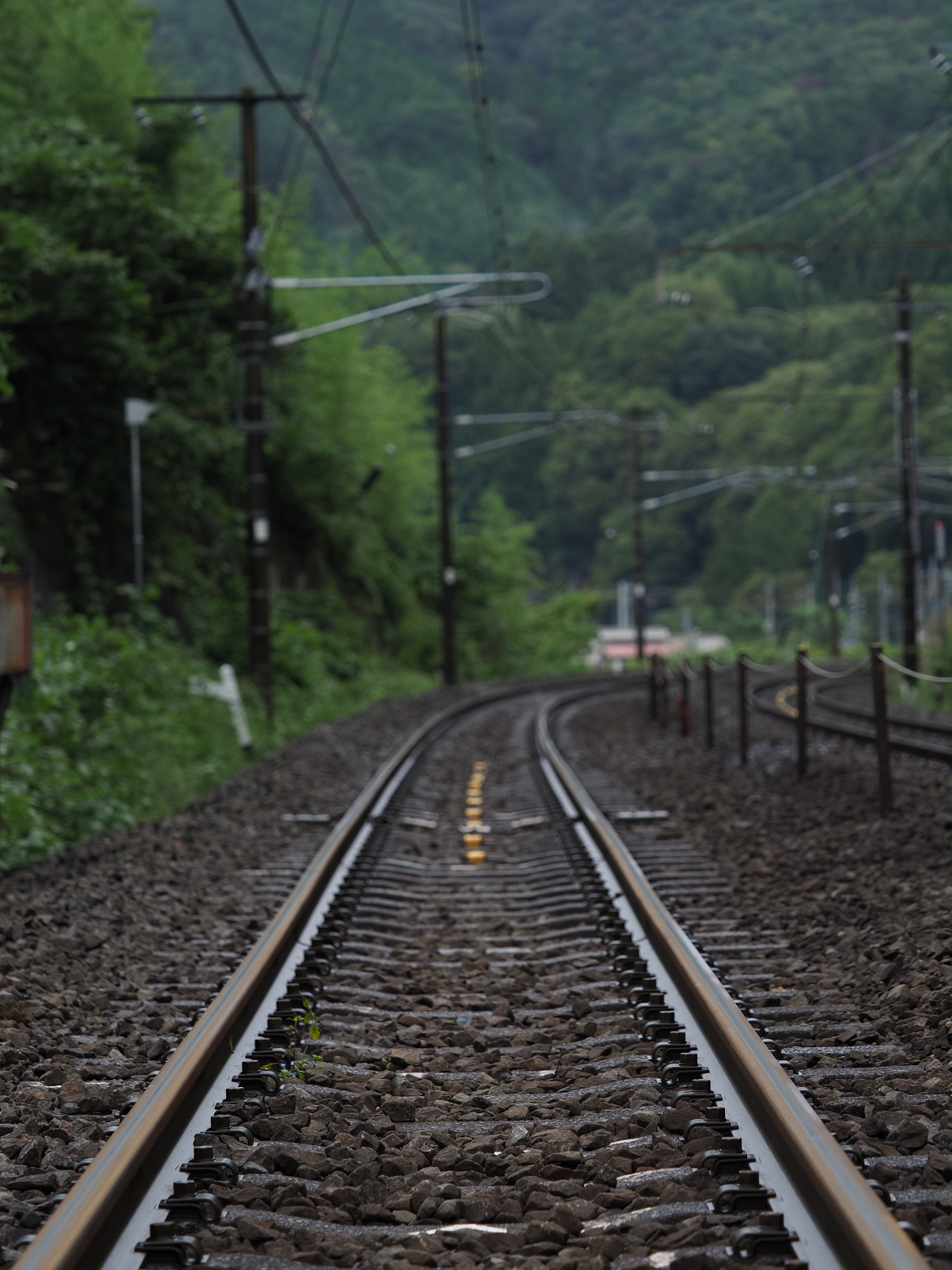 P9230290.jpg