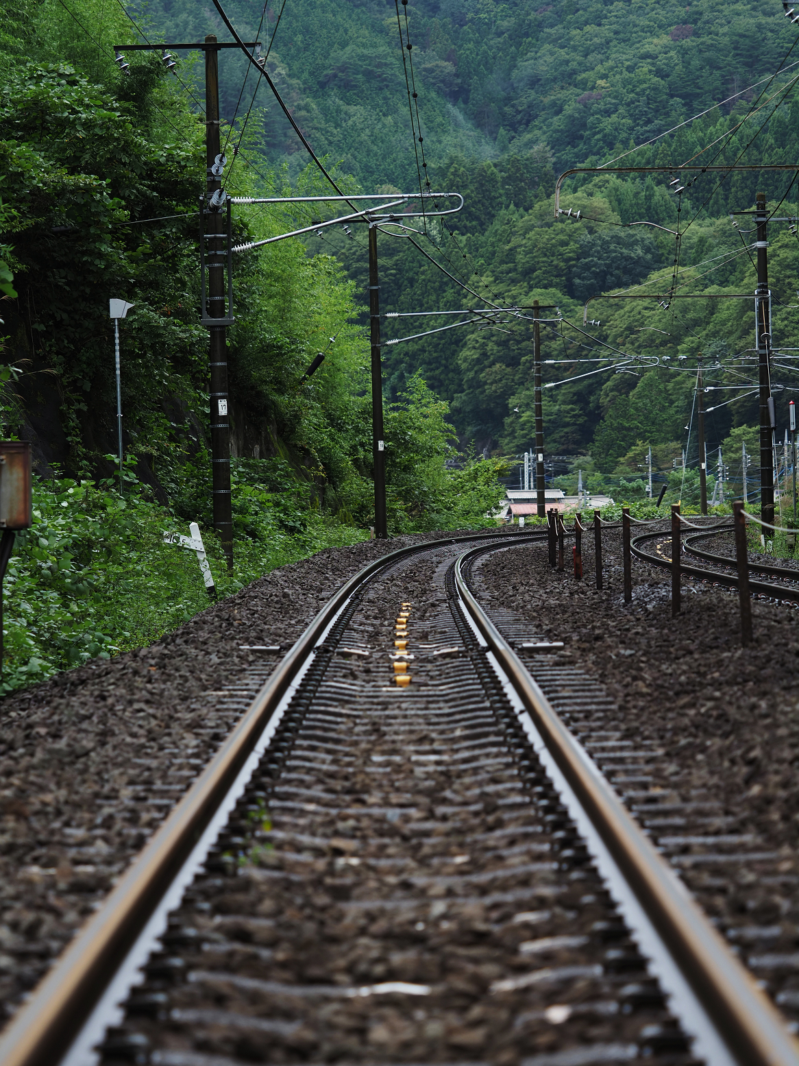 P9230291.jpg