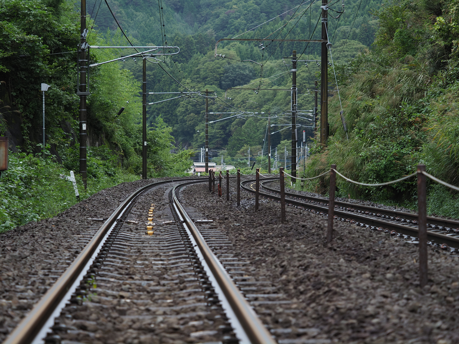 P9230292.jpg