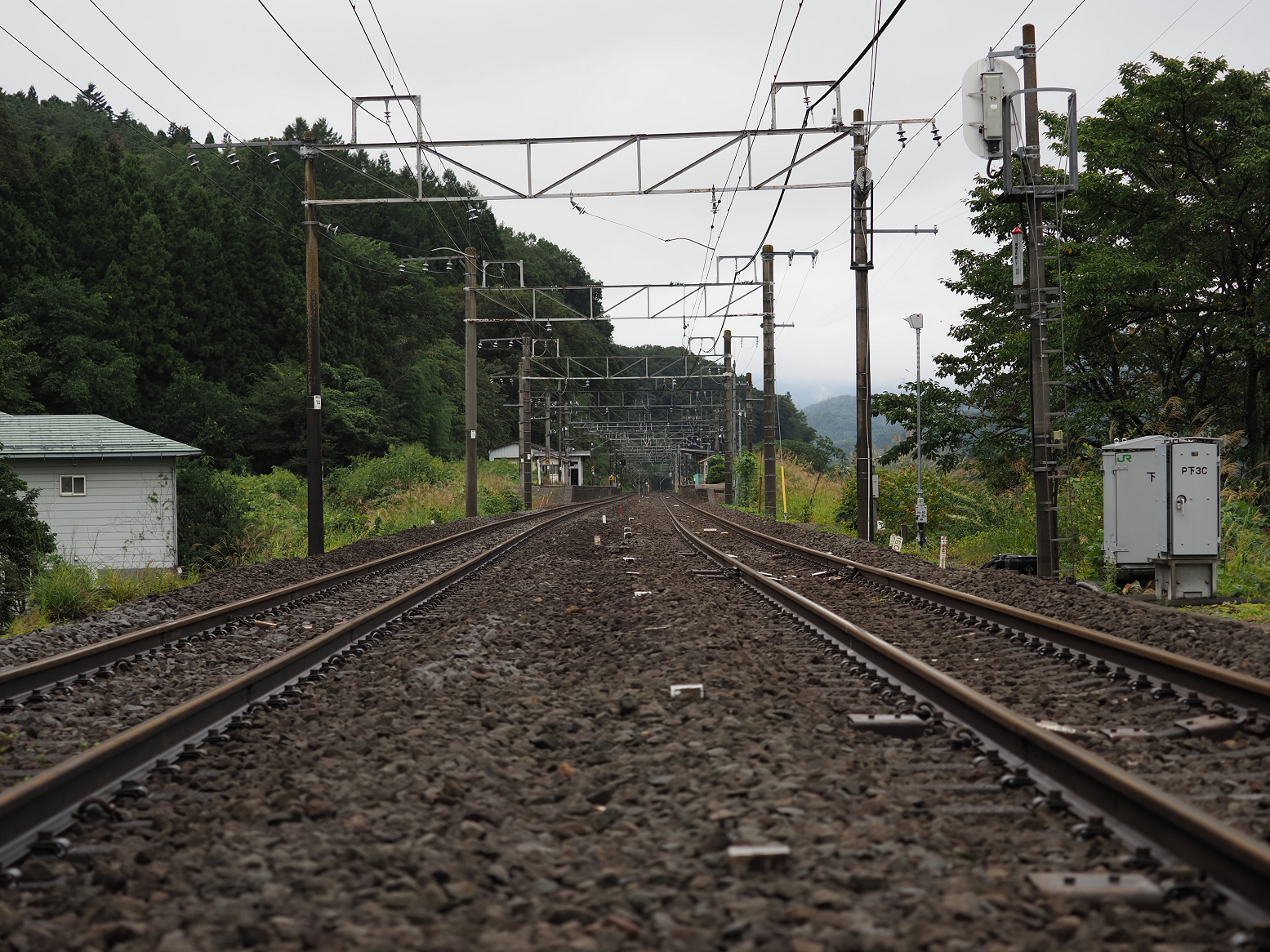 P9230294.jpg