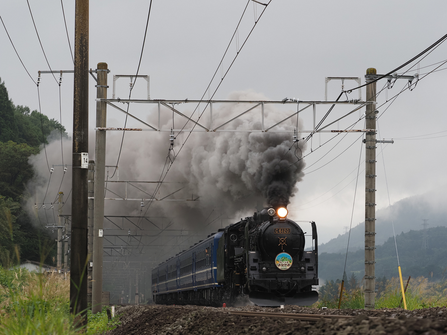 P9230424.jpg