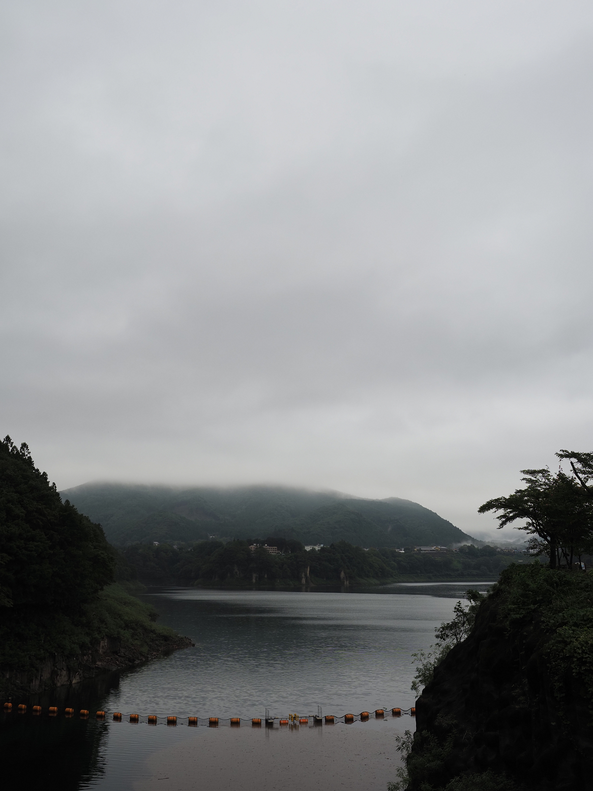 P9230466.jpg
