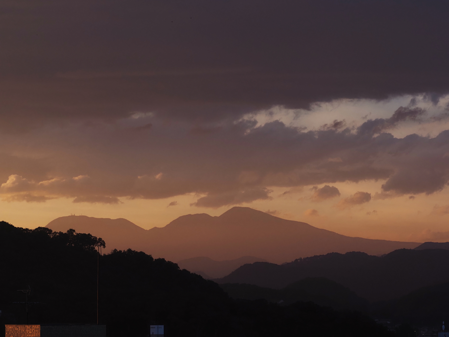 P9230517.jpg