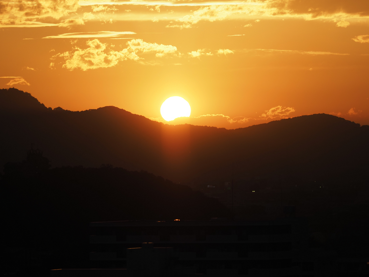 P9230548.jpg