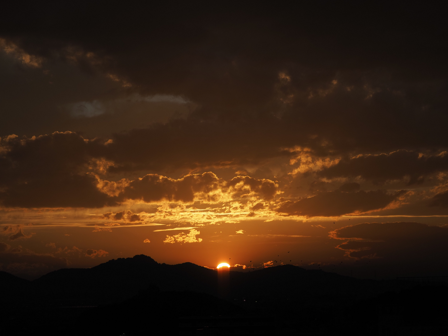 P9230562.jpg