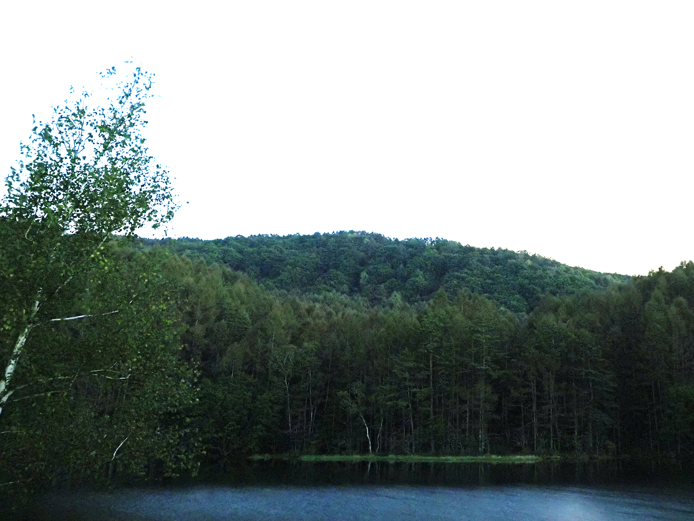 P9270023-02.jpg