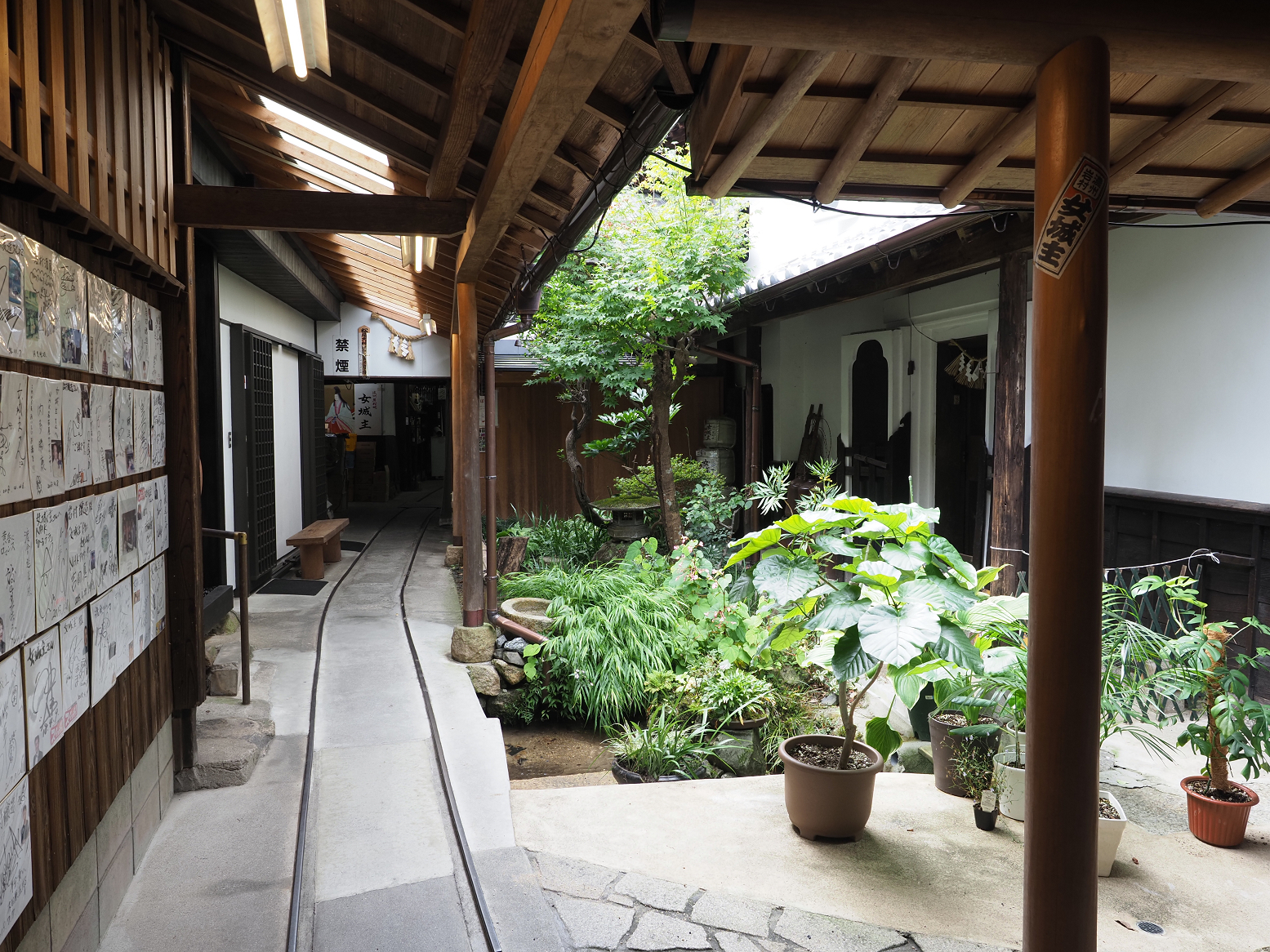 P9280164.jpg