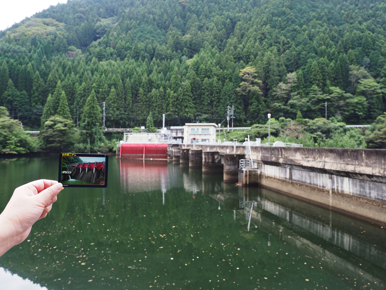 P9280217.jpg