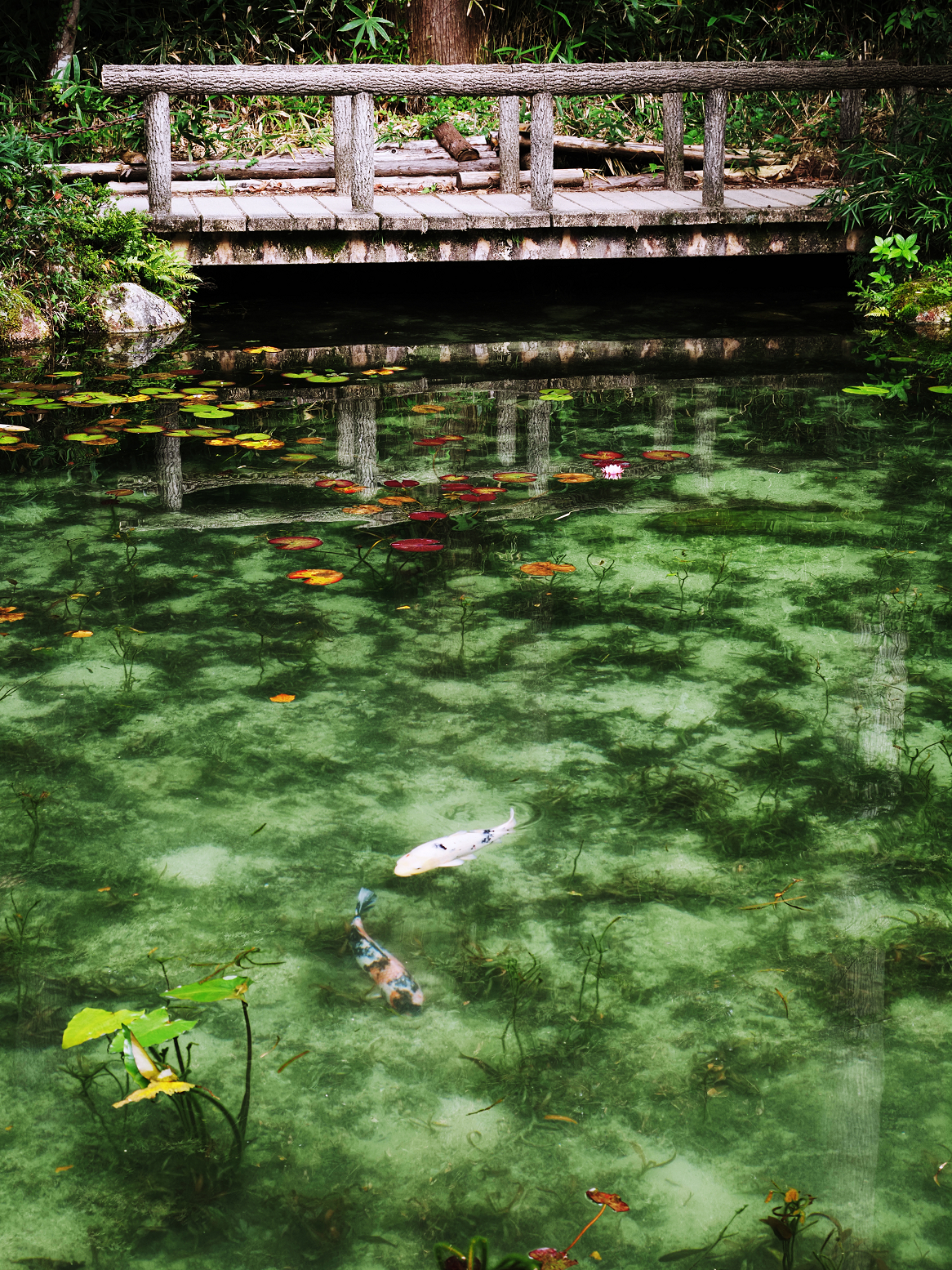 P9280350.jpg