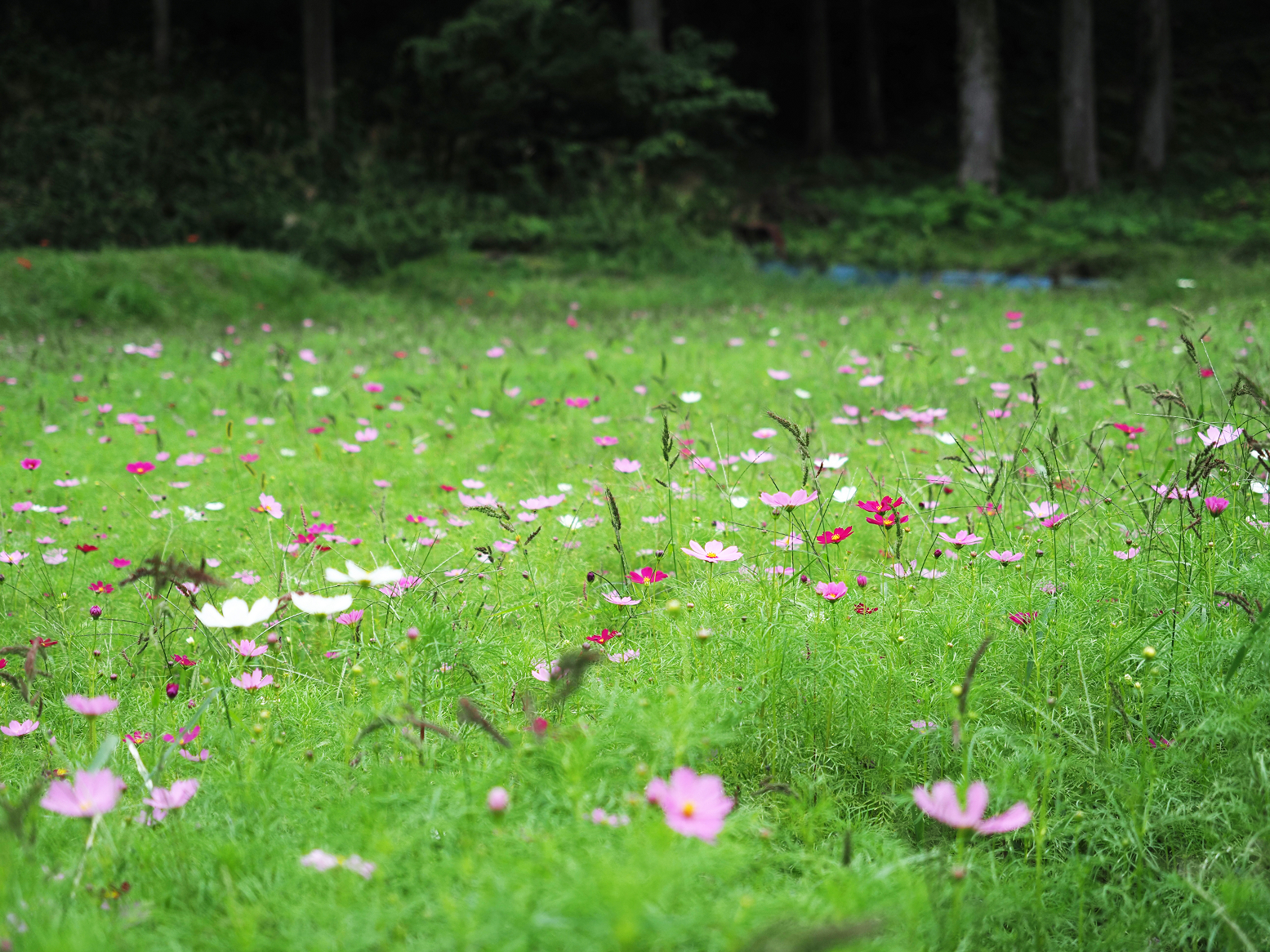 P9280402.jpg
