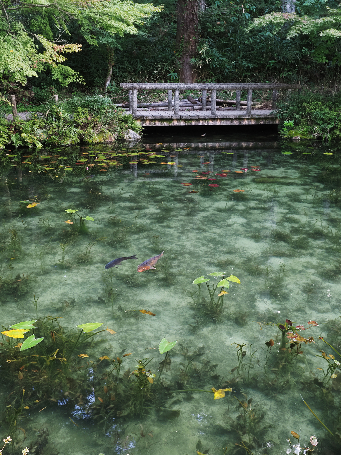 P9290453.jpg