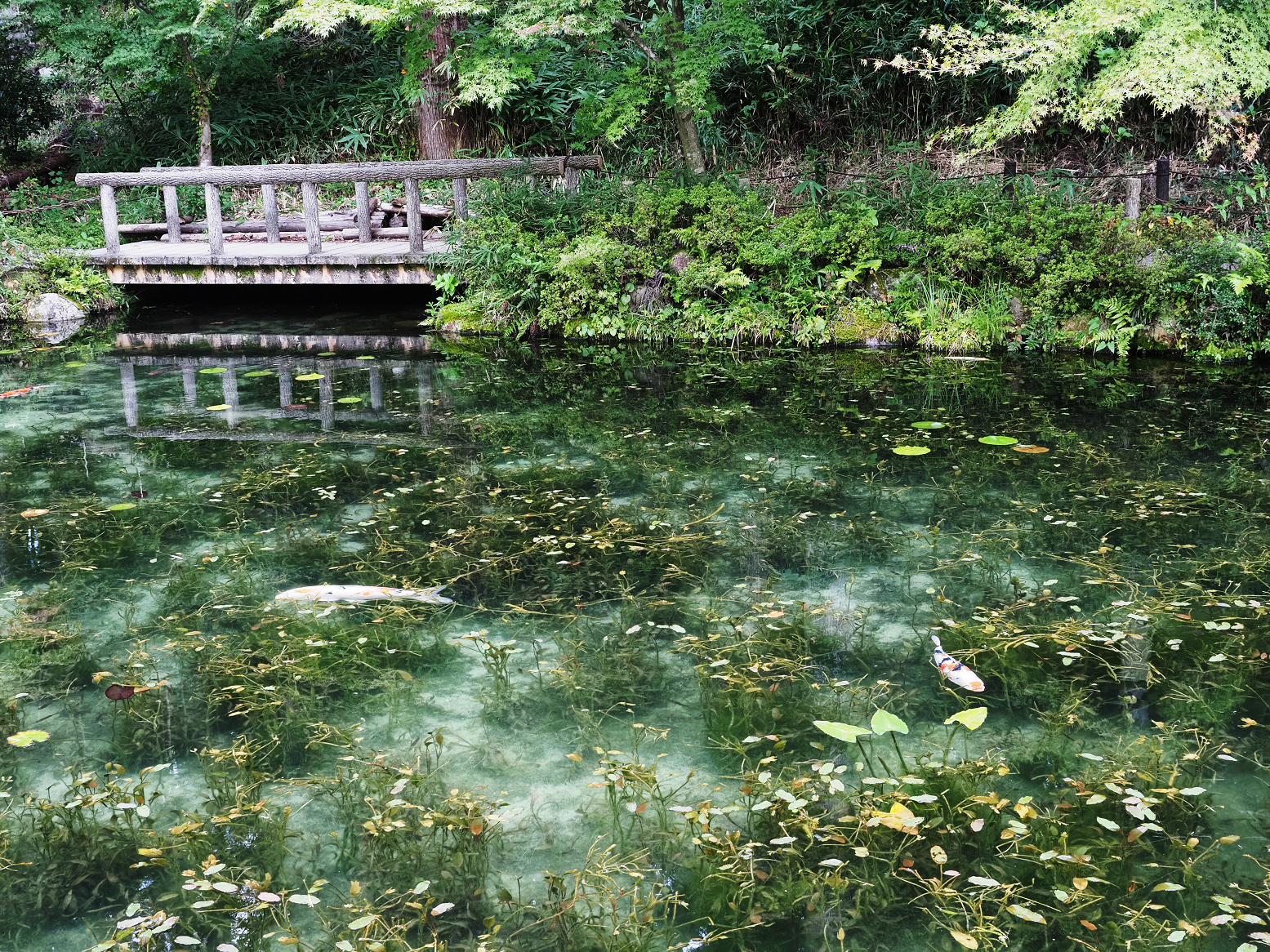 P9290466.jpg