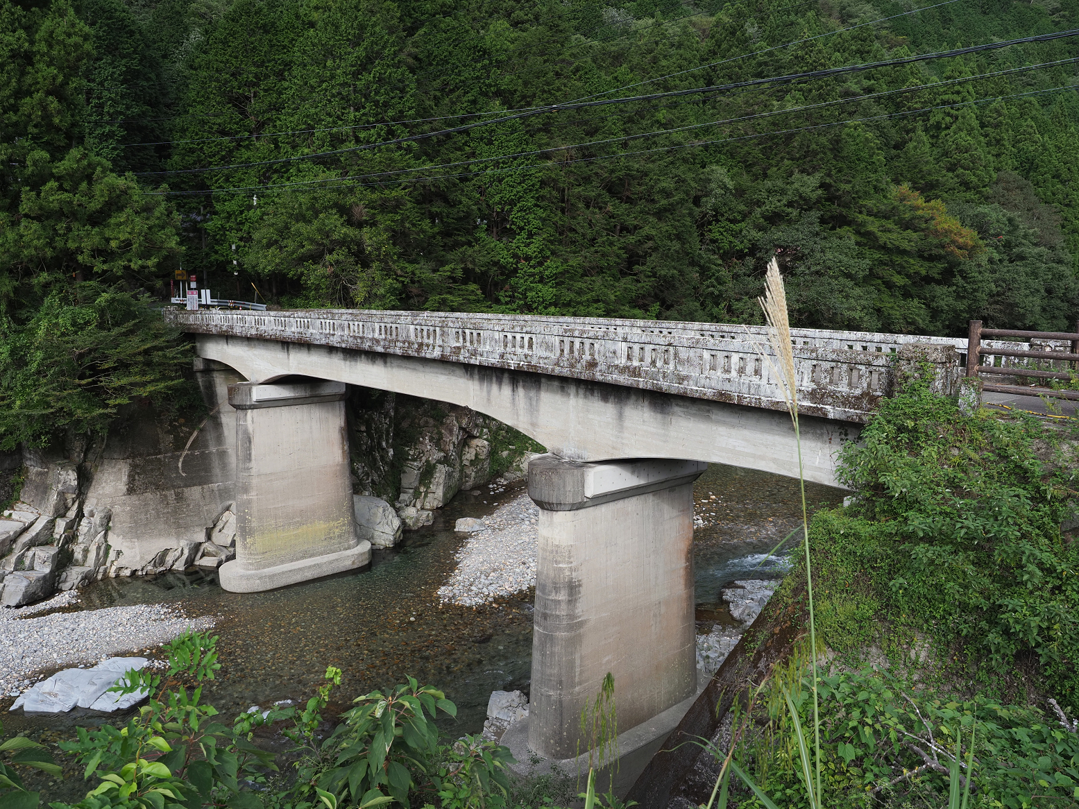 P9290520.jpg