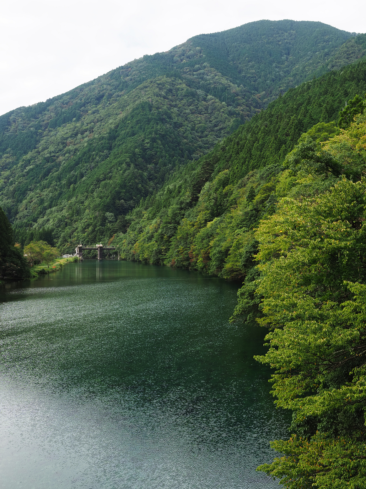 P9290522.jpg