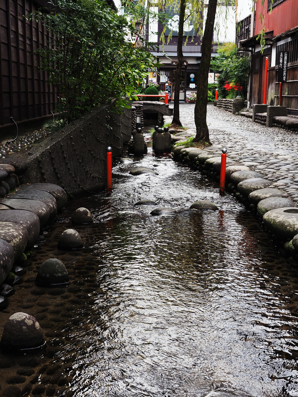 P9290550.jpg