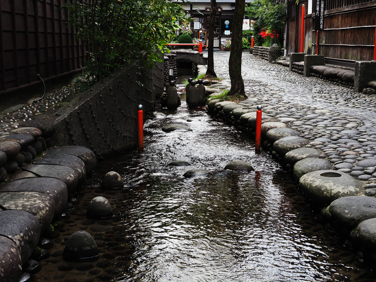 P9290551.jpg
