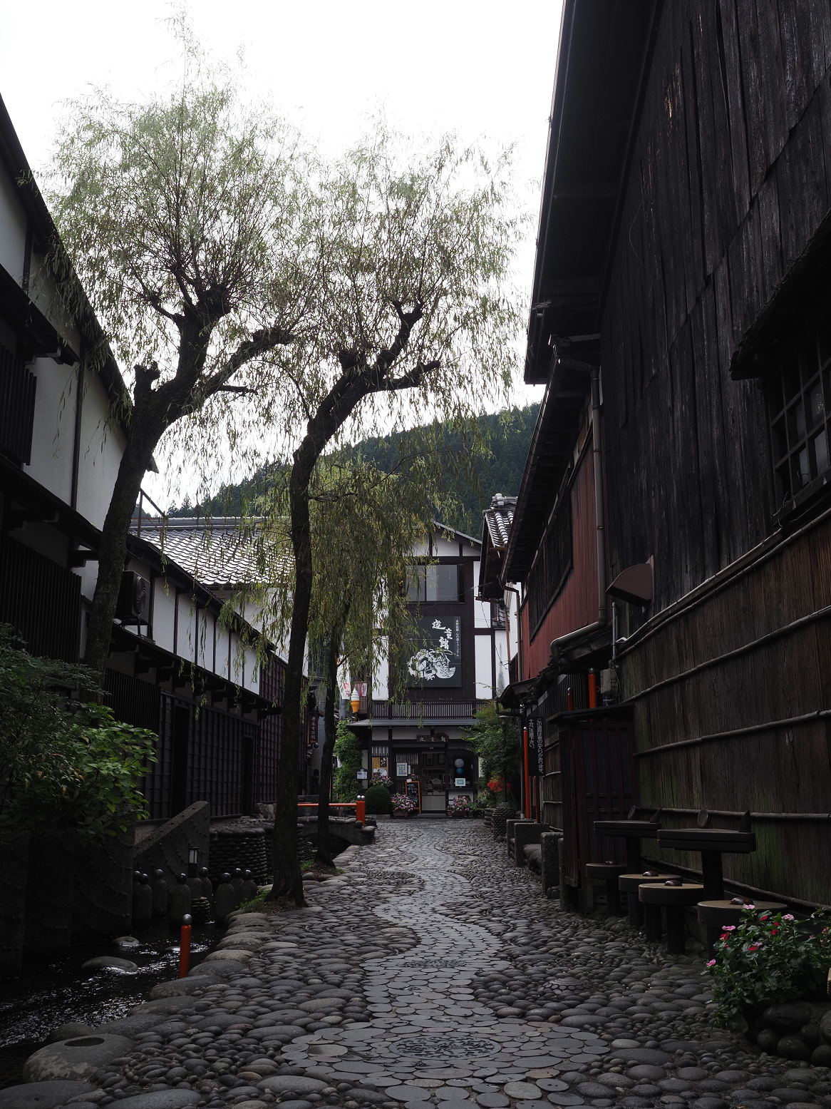 P9290565.jpg