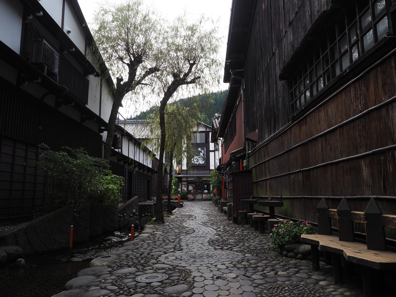 P9290566.jpg