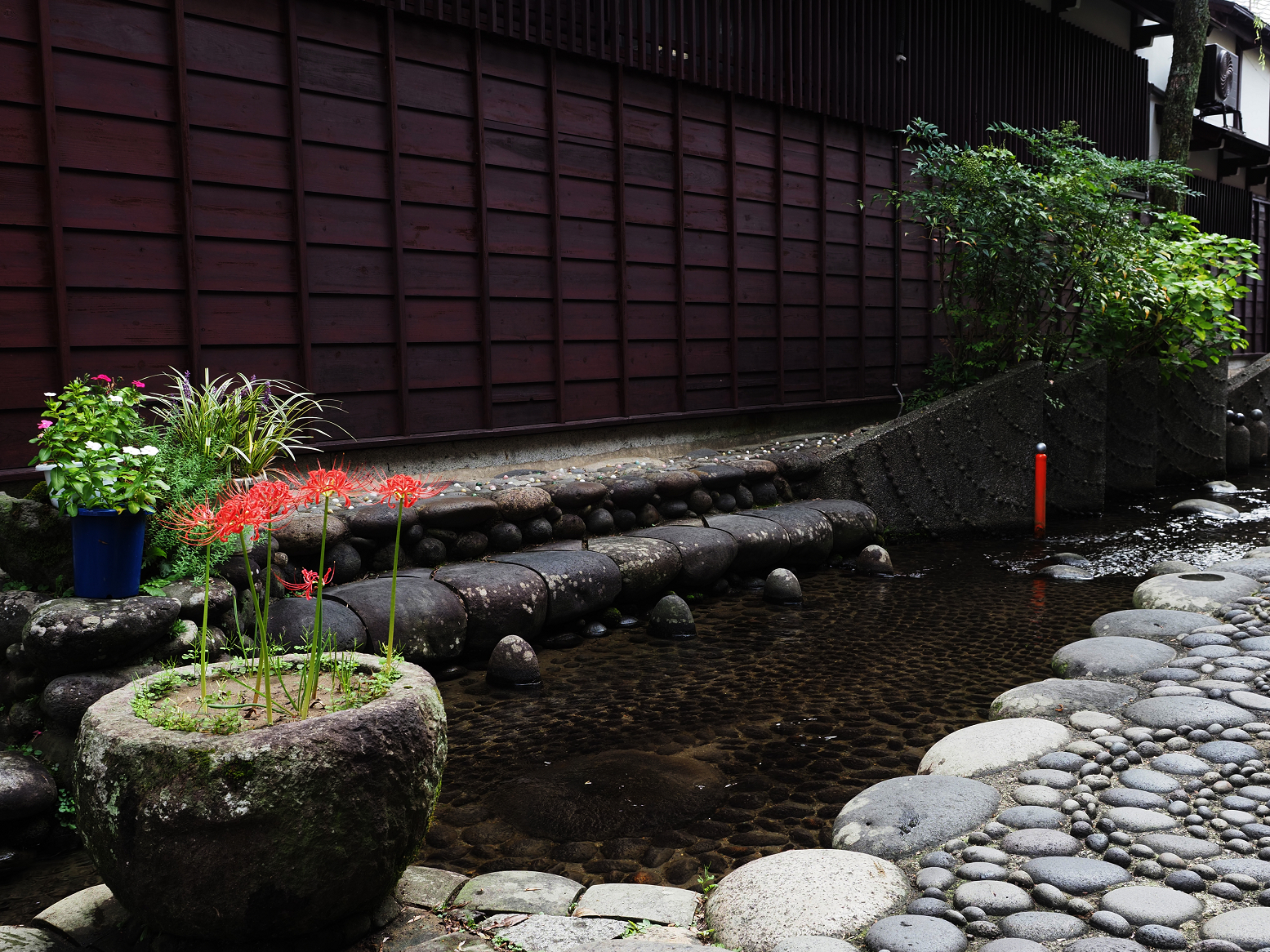 P9290568.jpg