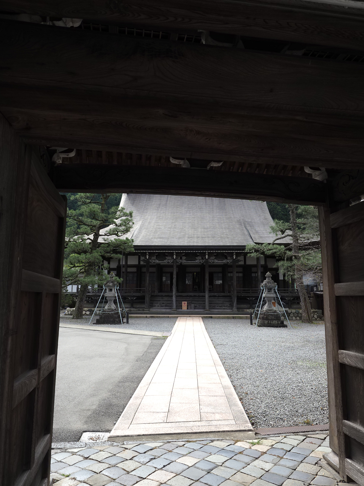 P9290684.jpg