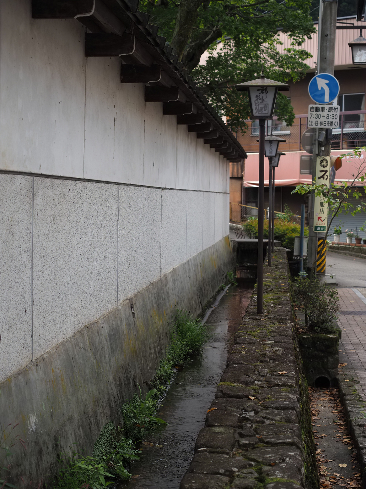 P9290685.jpg
