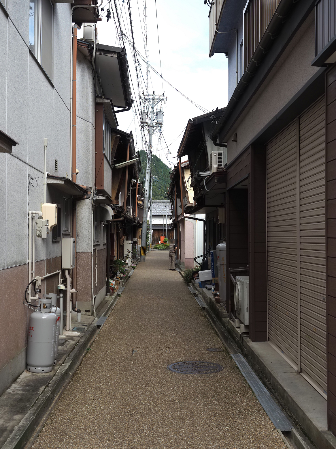 P9290687.jpg