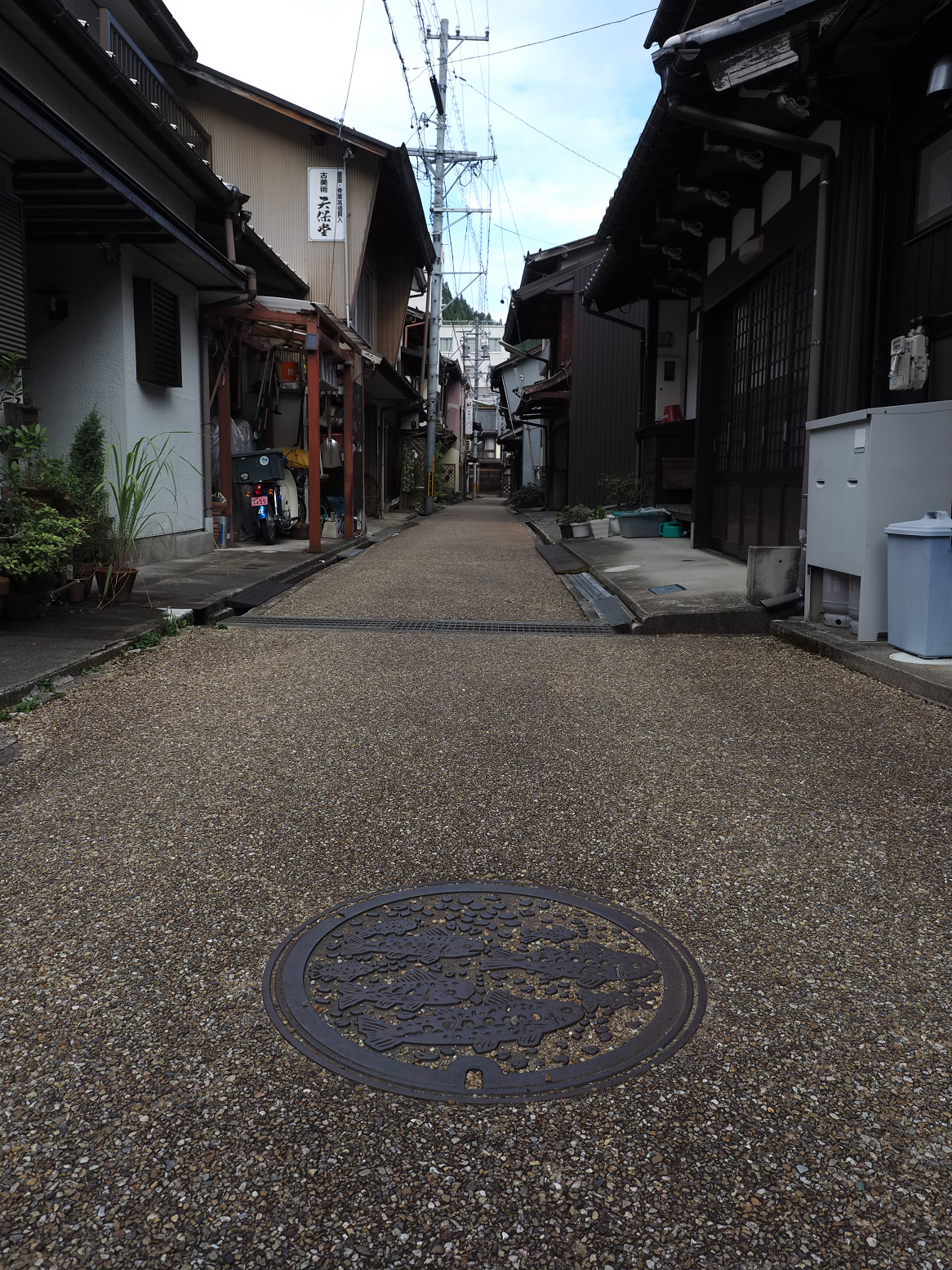 P9290691.jpg