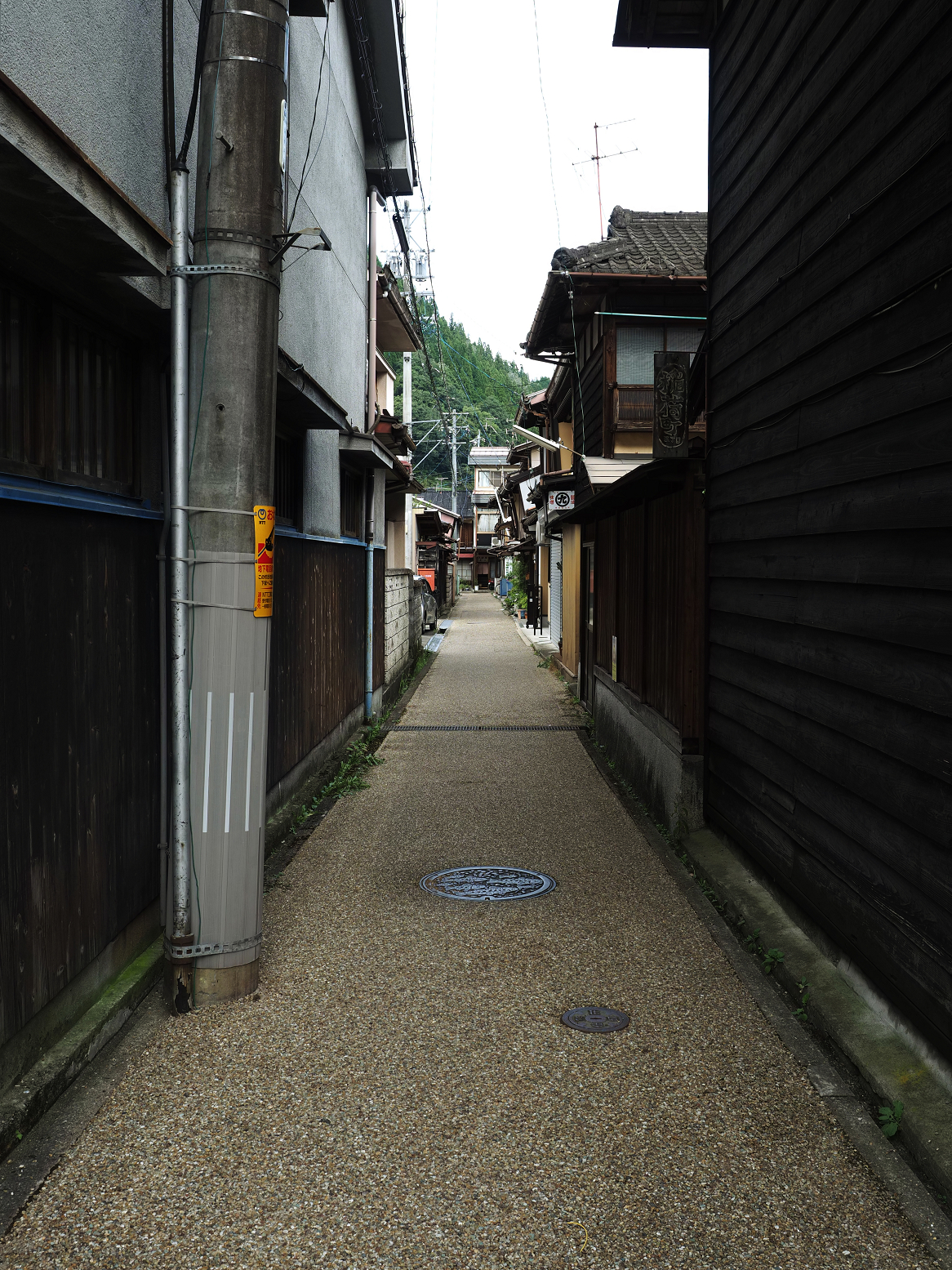 P9290704.jpg