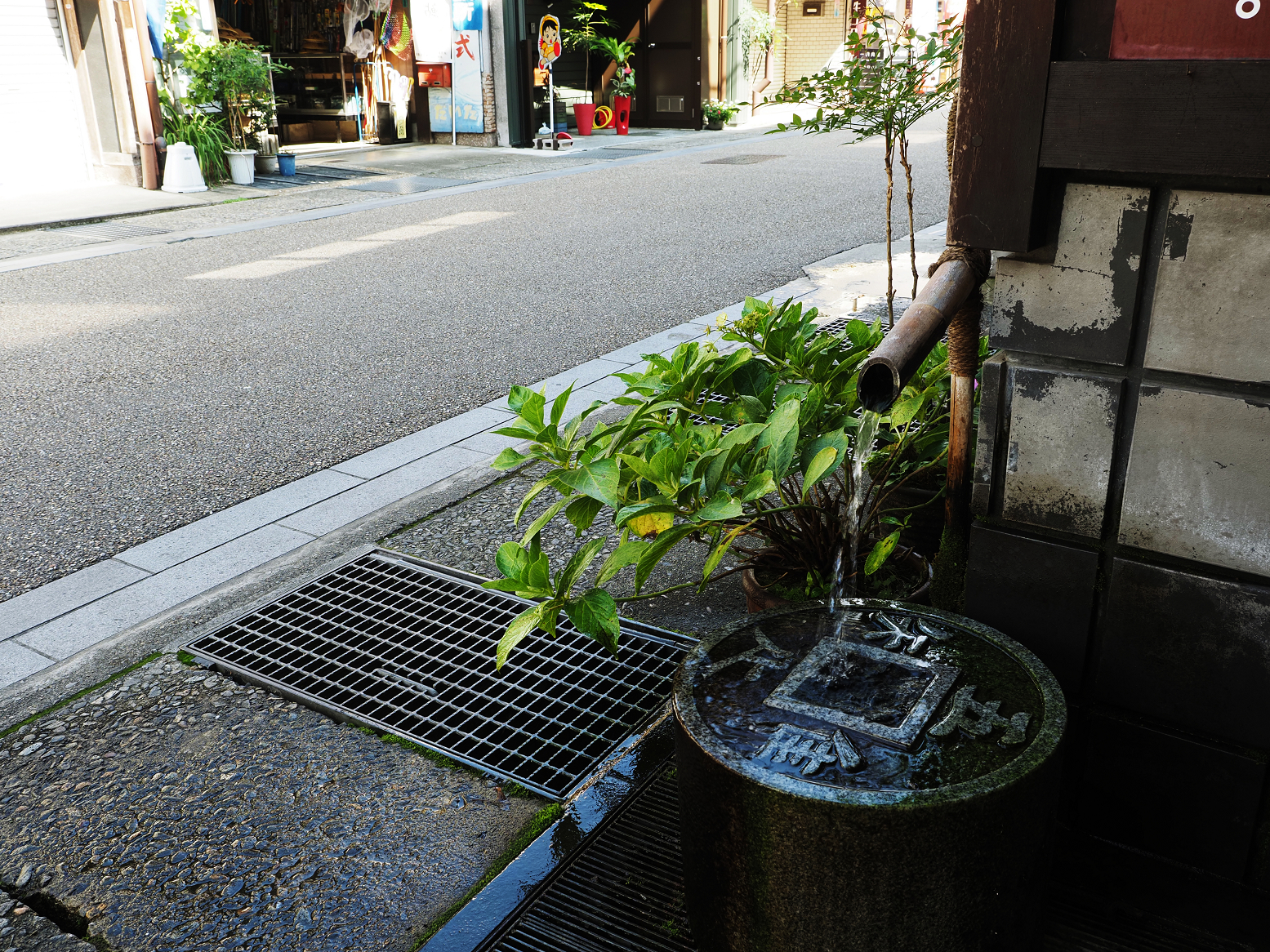 P9290737.jpg