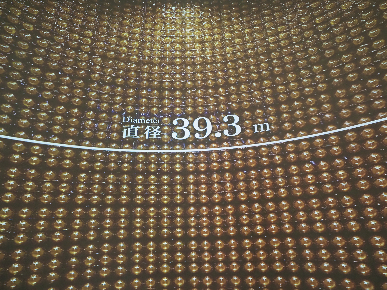 P9290972.jpg