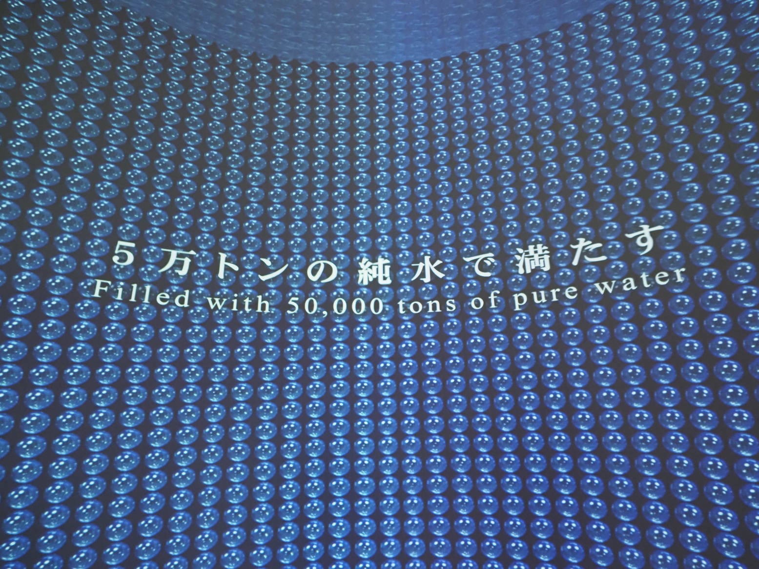 P9290982.jpg