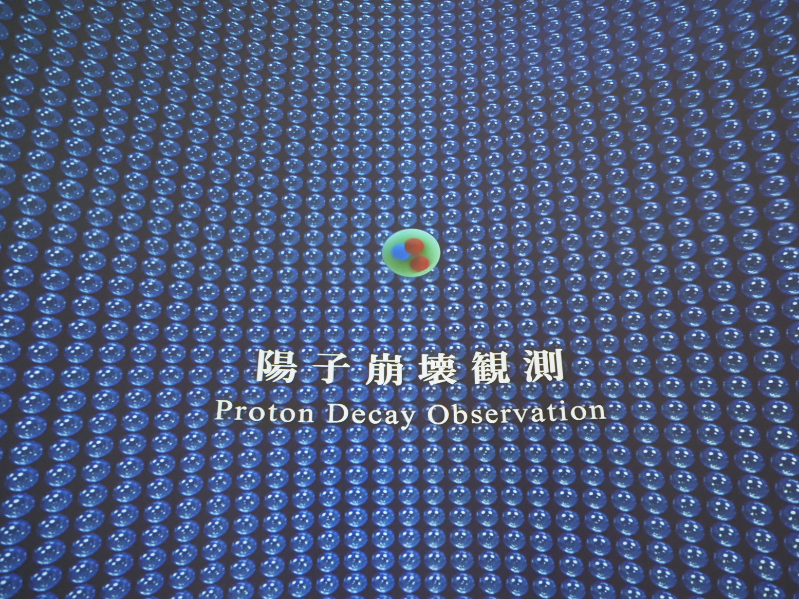 P9290987.jpg