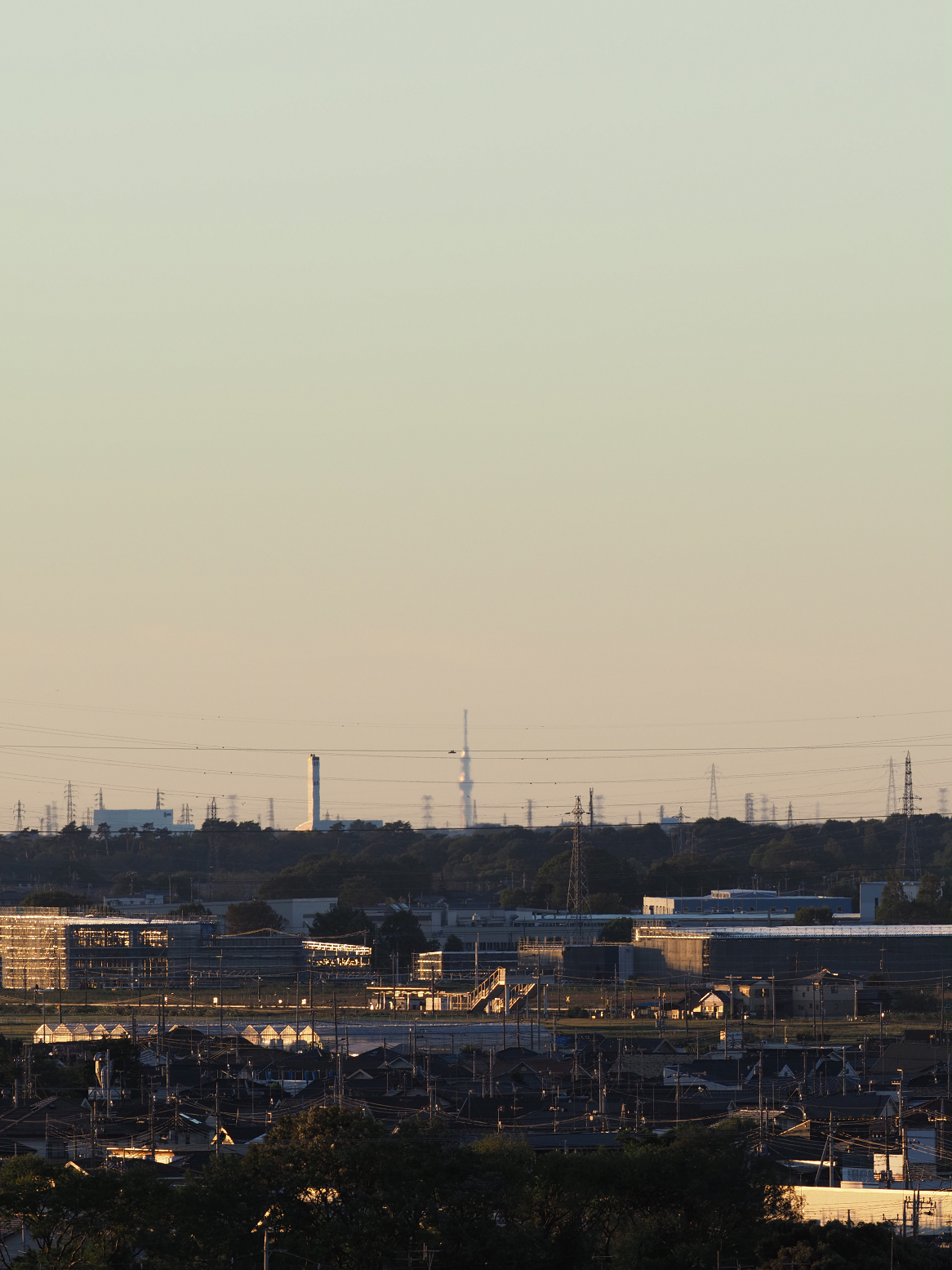 PA1213740137.jpg